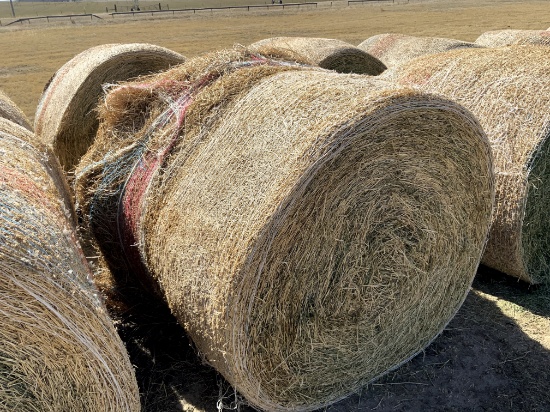2 Medium Round Bales of 3rd Cutting Alfalfa Hay