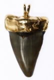 14k Gold and Shark Tooth Pendant