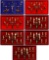 Britains 'Seaforth Highlanders' and Cheshire' Toy Soldier Sets