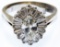 14k White Gold and Diamond Ring