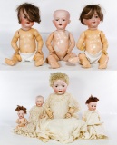 German and Japanese Bisque Baby Doll Assortment