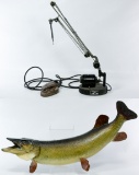 Fish Taxidermy Wall Mount and Dental Drill