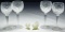 Waterford Crystal 'Lismore' Stemware