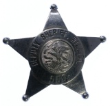 Will County Deputy Sheriff Badge