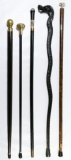 Cane / Walking Stick Assortment