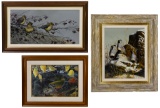 Wildlife Painting Assortment