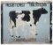 Hand Painted 'Registered Holsteins' Advertising Sign