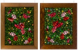 Floral Stained Glass Windows