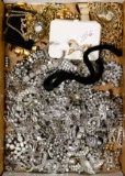 Clear Rhinestone Jewelry Assortment