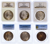 Morgan $1 Toned Assortment