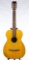 C. F. Martin & Co Acoustic Guitar