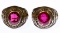 10k Gold and Ruby School Rings