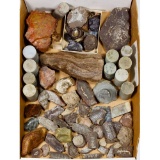 Jadeite Jade, Pottery, Fossil and Shell Assortment