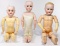 German Bisque Head Doll Assortment