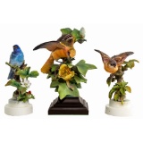 Dorothy Doughty for Royal Worcester Porcelain Bird Figurine Assortment