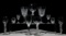 Lalique and Waterford Crystal Stemware Assortment