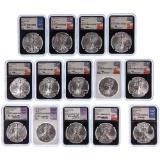Silver Eagle $1 MS-70 NGC Assortment
