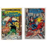 The Amazing Spider Man #101 and #212 Comic Books