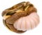 Cellino 18k Yellow Gold and Blush Coral Ring