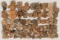 Pre-Columbian Terracotta Head Fragment Assortment