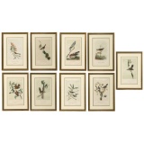 (After) J. J. Audubon (American, 1785-1851) Lithograph Assortment