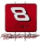 Dale Earnhardt Jr. Budweiser Sign