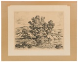 Birger Sandzen (Swedish / American, 1874-1954) 'Brook with Cottonwood Trees' Lithograph