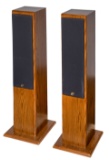 Sansui SP-X5U Floor Speakers