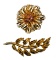 18k Yellow Gold Brooches