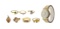 14k Yellow Gold Jewelry and Wristwatch Assortment