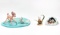 Disney Classics Collection 'Bambi' Figurine Assortment