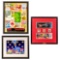Disney Framed Pin Sets