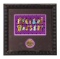 Disney 'Walt Disney World Haunting Spells' Framed Pin Set