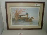 FRAMED LIMITED EDITION DUCK PRINT OF 2 DUCKS ON WATER
