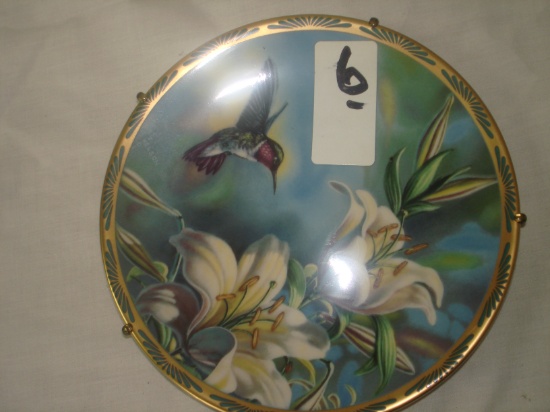 PICKARD COLLECTOR PLATE