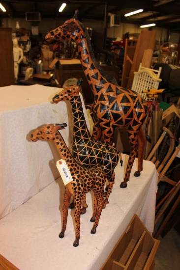 Group of 3 Giraffs