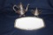 SILVERPLATE WITH PORCELAIN TRAY