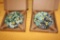 SONGBIRDS COLLECTOR PLATES