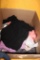 BOX OF LADIES' TOPS