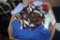 BOX LOT OF LADIES CLOTHING