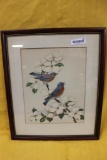 PRINT OF BIRDS
