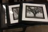 SET OF 3 FRAMES