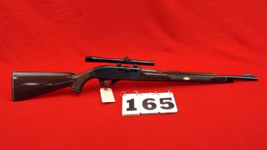 Remington Nylon 66 .22 L.R.