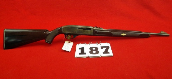 Remington Nylon 66 .22 L.R.