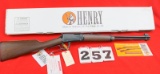 Henry Lever Action Rifle .22 LR