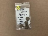 Indian head pennies- 1(1894)/1(1889)/1(1898)/1(1899)