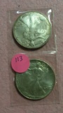 1994, 2004 SILVER AMERICAN EAGLE DOLLARS - 2 TIMES MONEY