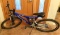 MICHELOB ULTRA PAINT SCHEME BICYCLE - WILL NOT SHIP