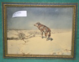 CIRCA 1920'S FRAMED LONE WOLF PICTURE - HEAD FACING LEFT