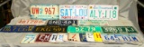 APPROX. 20 ASSORTED U.S. LICENSE PLATES